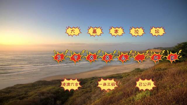 澳门天天彩，正版免费资料与理性投注的智慧