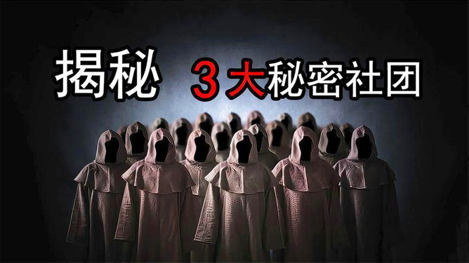 629531，数字背后的神秘解密