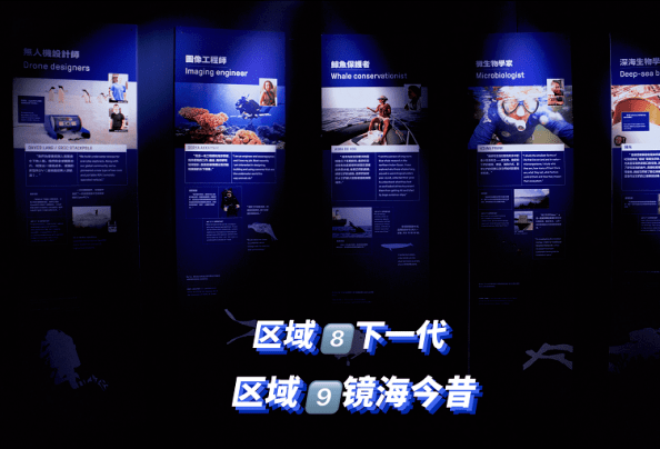 探索新澳正版资料与内部资料的奥秘，解锁学习与实践的双重钥匙