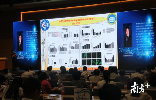 澳门一肖不中必反奖，揭秘精准预测的真相