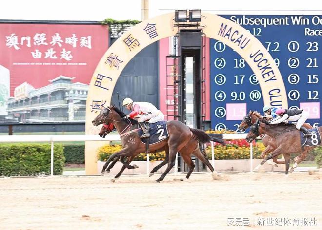 澳门赛马，历史、文化与现代魅力
