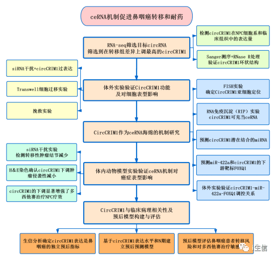 探索未来教育，2035年新澳资料免费大全的全面解析