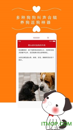 探索狗扑论坛，宠物爱好者们的温馨家园
