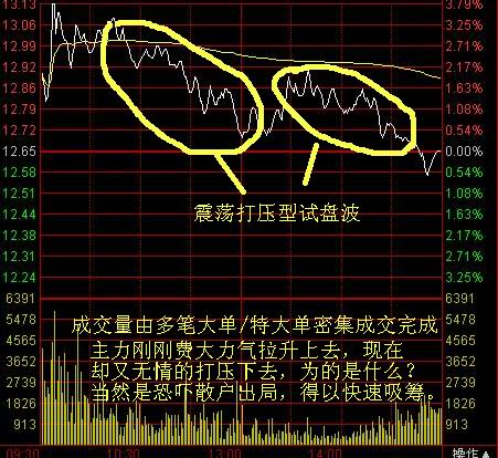 精准预测，揭秘一肖102%准确的神秘面纱