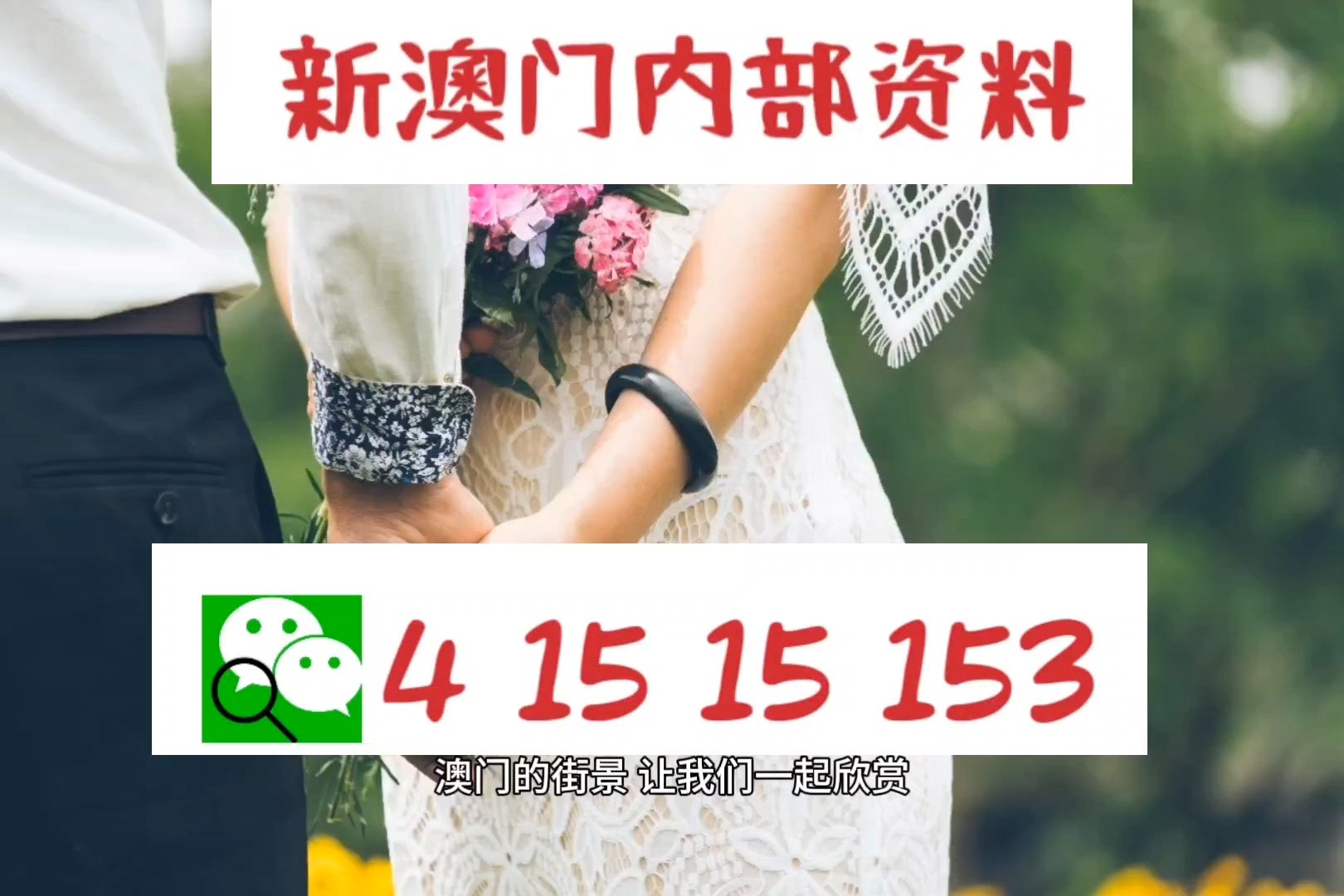 澳门精准预测，揭秘一肖的神秘面纱