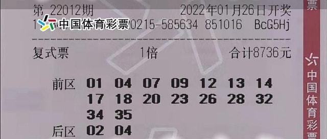 2035年新澳门今晚开奖结果查询，理性看待彩票与未来展望