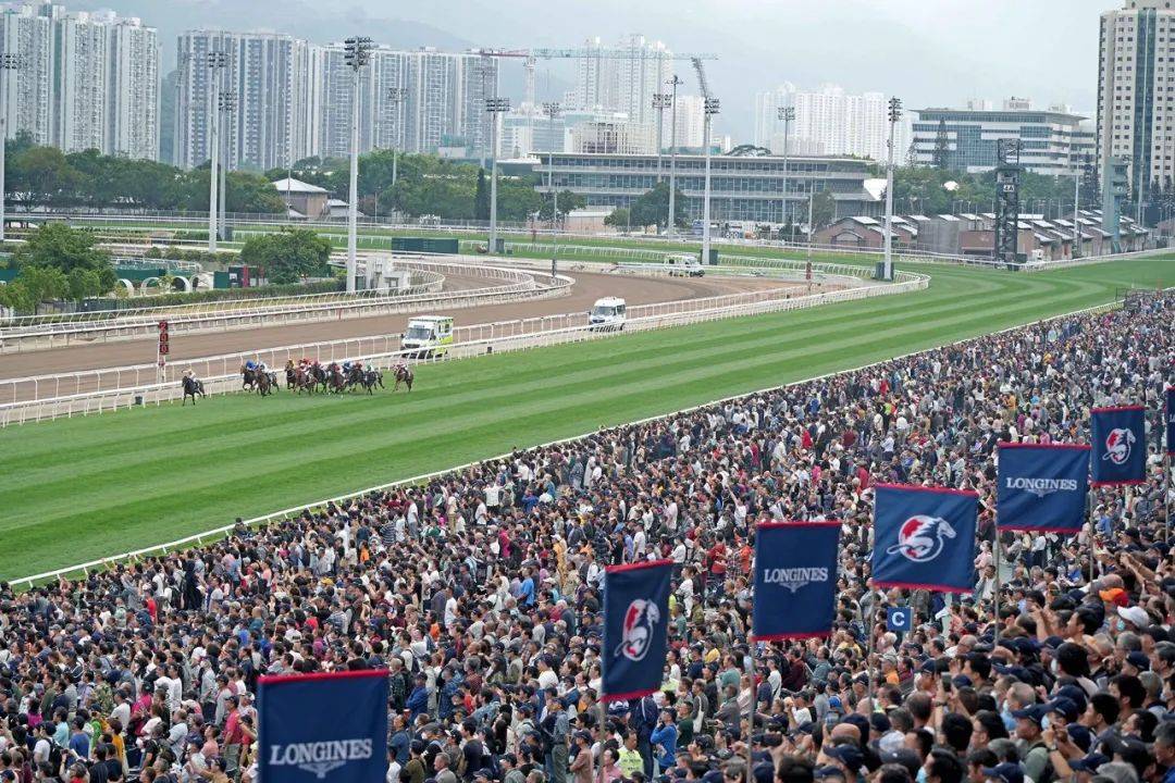 香港马会开奖结果直播的魅力与影响