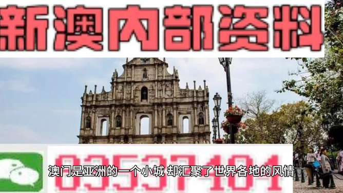 澳门精准免费资料，探索与揭秘
