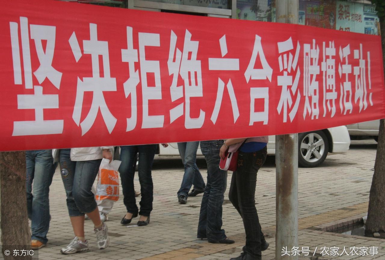 探索香港特马，文化、历史与现代融合的独特魅力