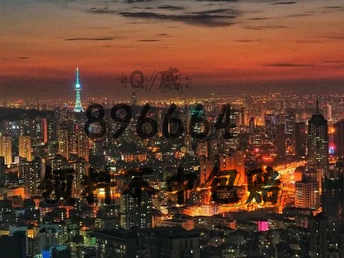 澳门一肖必中，揭秘数字背后的神秘力量