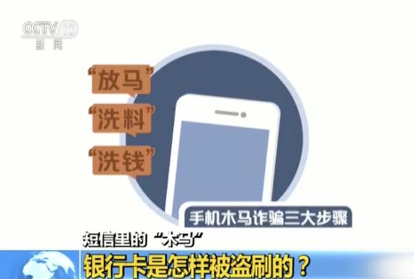今晚六给彩，揭秘开奖号码背后的秘密与乐趣