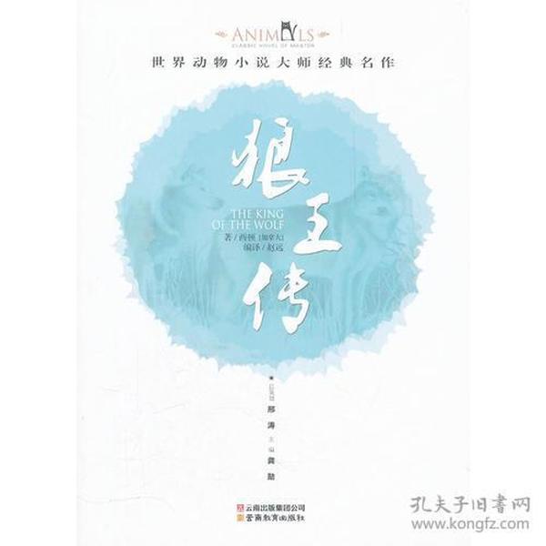 今晚特马揭秘，一场关于小说与命运的奇妙邃旅
