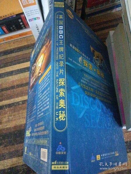 探索王中王的奥秘，全面解析与相关书籍指南