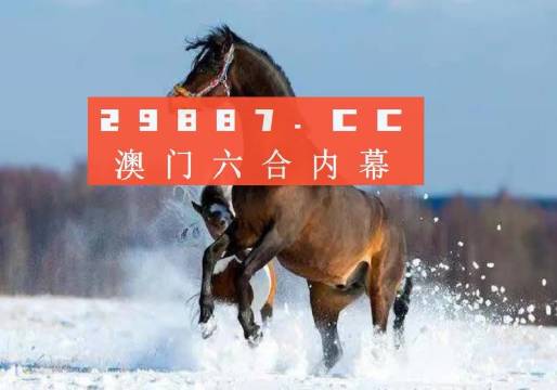 2048年澳门资料免费大全，探索未来之门的钥匙