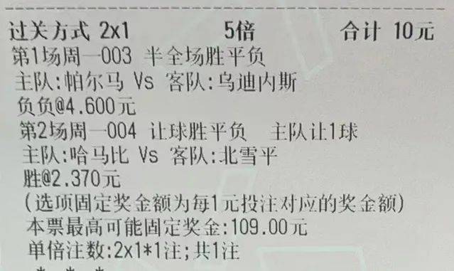 2043年澳门今晚生肖预测，理性与娱乐的平衡