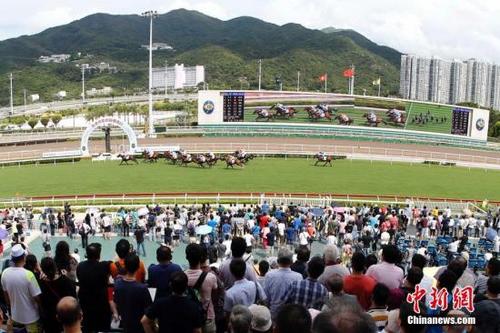 2031年马会正版香港资料大全，探索未来赛马的智慧与机遇