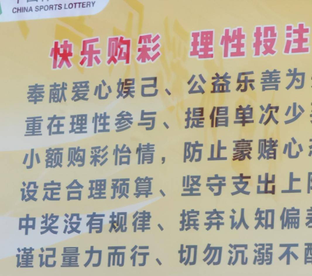天下彩（943:CC）免费资料大全，揭秘彩票背后的智慧与策略