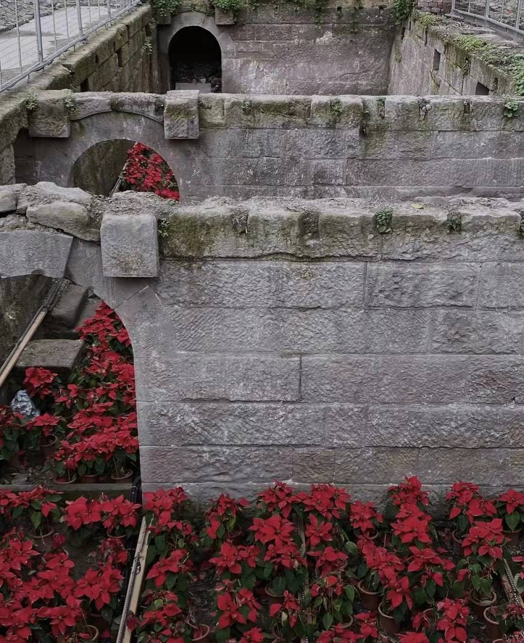 探索心水高手论坛，免费资料与智慧碰撞的秘密花园