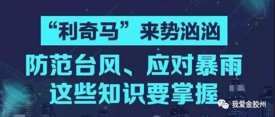 今晚特马号，揭秘彩票背后的文化与心理