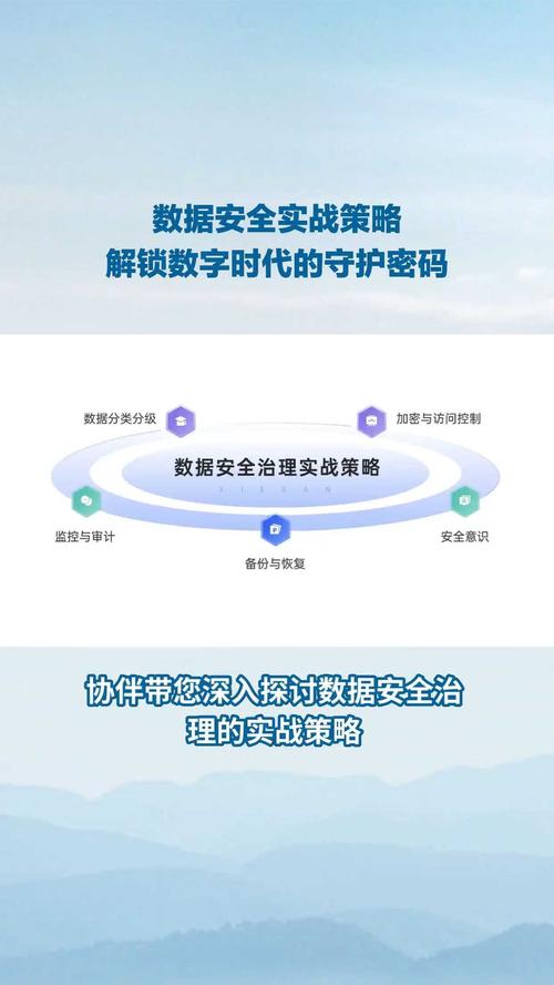 探索1258c，解锁网址之家的数字奥秘