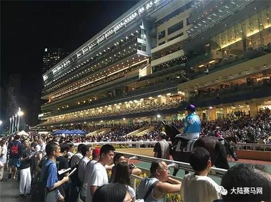 探索香港马会网站，一站式赛马的精彩与魅力