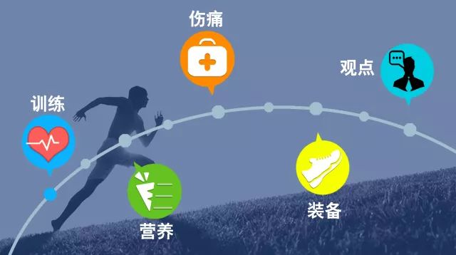 今晚特马揭秘，理性与智慧的双重考验