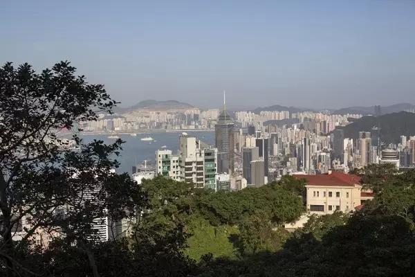 2019年香港马内部免费资料，揭秘赛前准备与策略