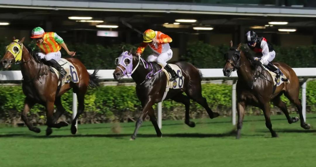 2019年香港马内部免费资料，揭秘赛前准备与策略