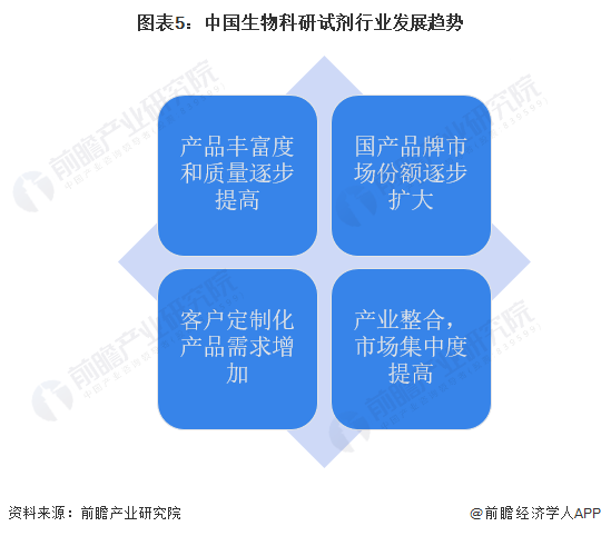 四肖期中准—精准预测与策略分析的智慧