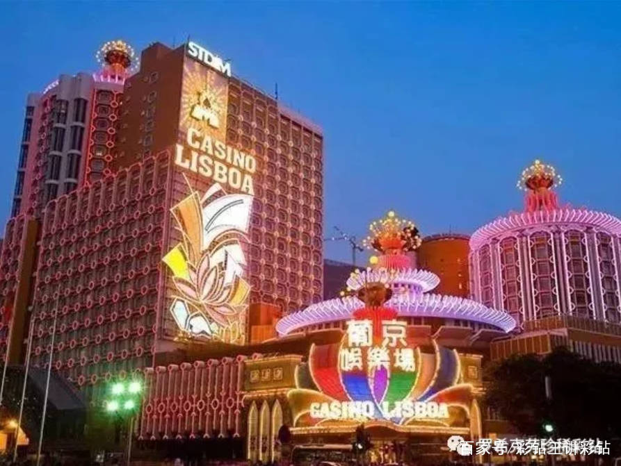 2046年新澳门王中王的传奇，揭秘未来赌场风云