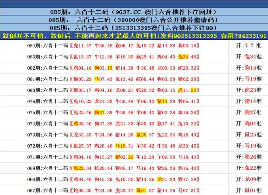 澳门四肖八码期期的奥秘与理性分析