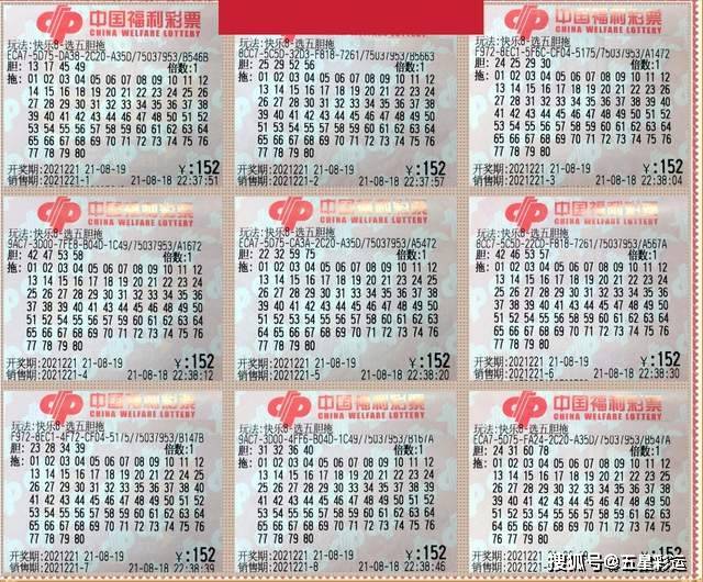 36选5，揭秘彩票组合的奥秘