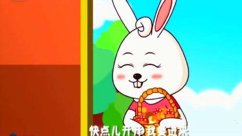 兔年新春，共赏小兔子乖乖儿歌视频大全，温馨童趣的欢乐时光
