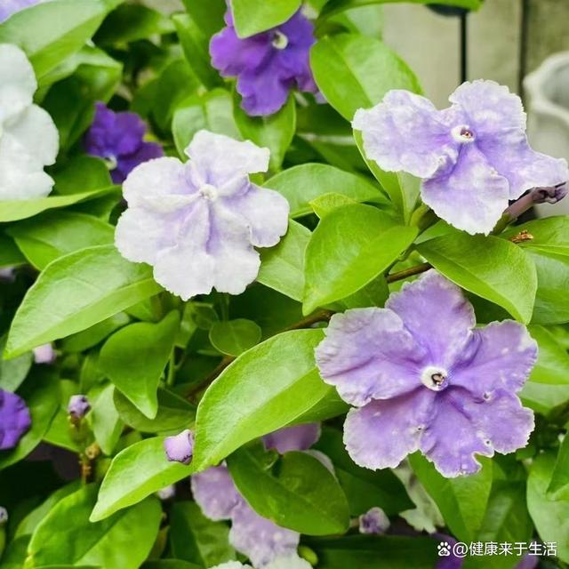 2025年6月1日 第21页