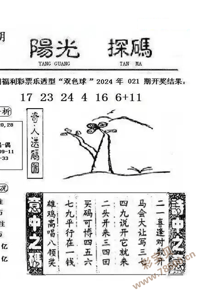 2025年6月3日 第3页