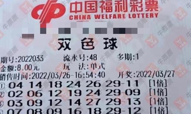 2025年6月6日 第10页