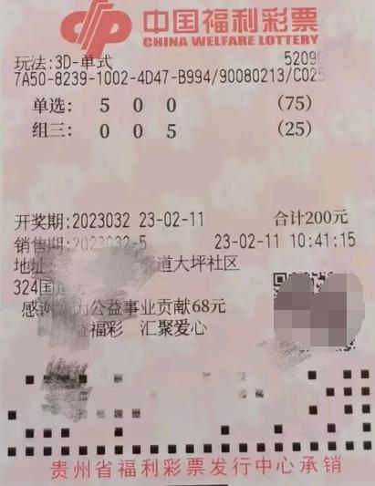 探索3D百位振幅走势图专业版，解锁数字彩票的奥秘