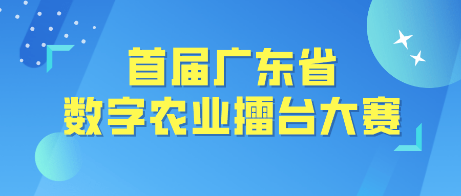 揭秘中彩新浪擂台赛，一场数字与智慧的较量