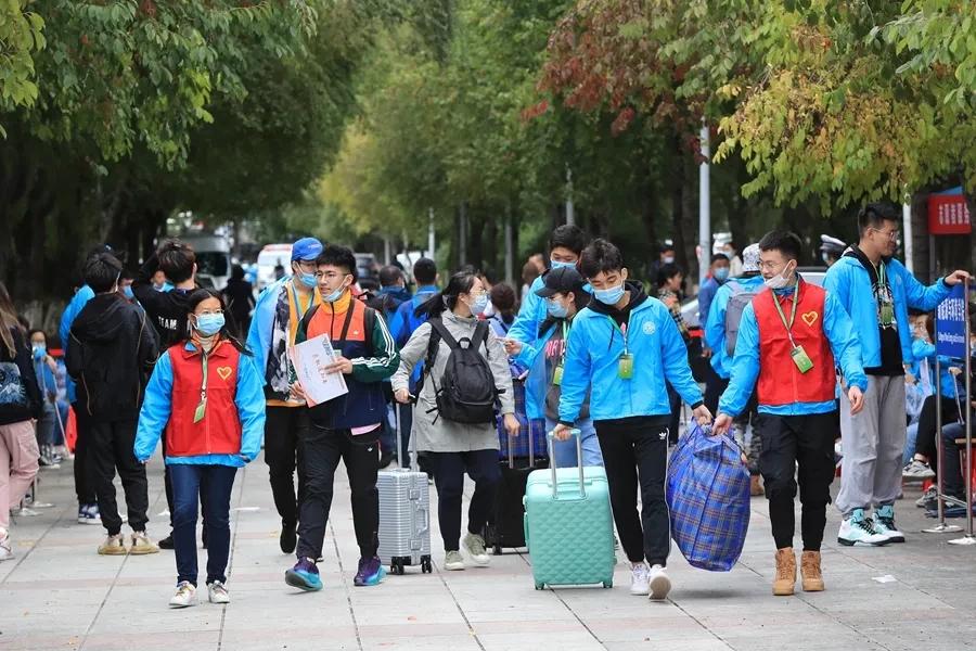 福利彩票开奖结果24号，梦想与希望的交汇点