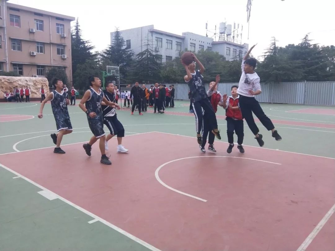 免费篮球比赛直播，点燃激情，共享赛场精彩